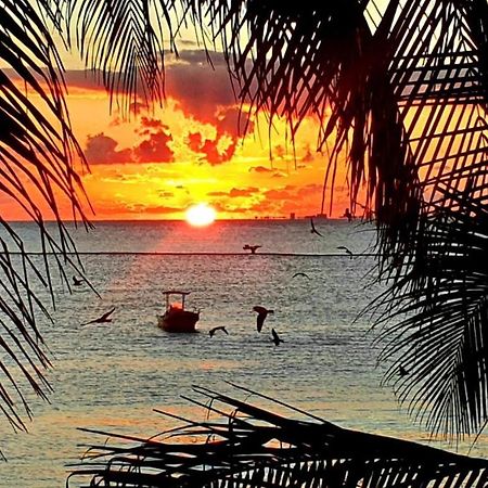 Sunshine Suite Playa del Carmen Esterno foto